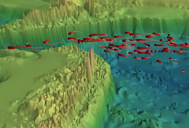 Geophysical Fluid Dynamics Institute | Geophysical Fluid Dynamics